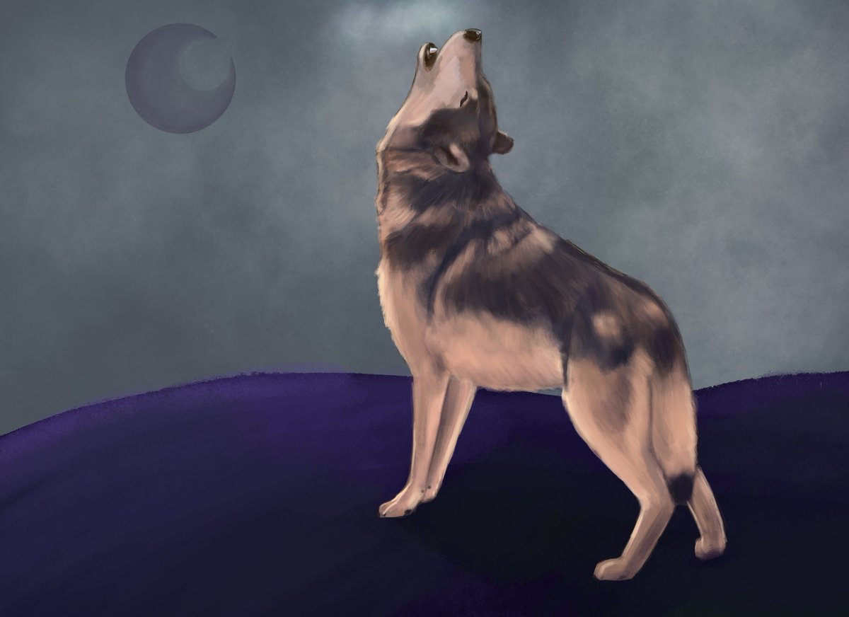 AlisonCousens's tweet photo. i made a woof https://t.co/KACcltvKpo
