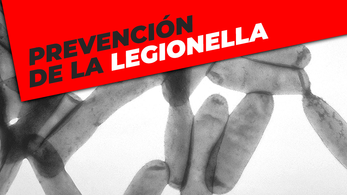 plagiser's tweet image. ¿Dónde podemos encontrar focos de legionella?
¿Qué medidas podemos tomar para prevenirla?
Más info en el siguiente post.
plagiser.com/es/blog-plagis…