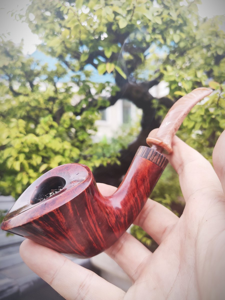 fishflorist1's tweet image. I'v been smoking only v/vp for quite a long time.
So today I'm smoking one of my favorite English blend, Early Morning Pipe, Peterson version. 👍

#pipesmoking #ytpc #brtv