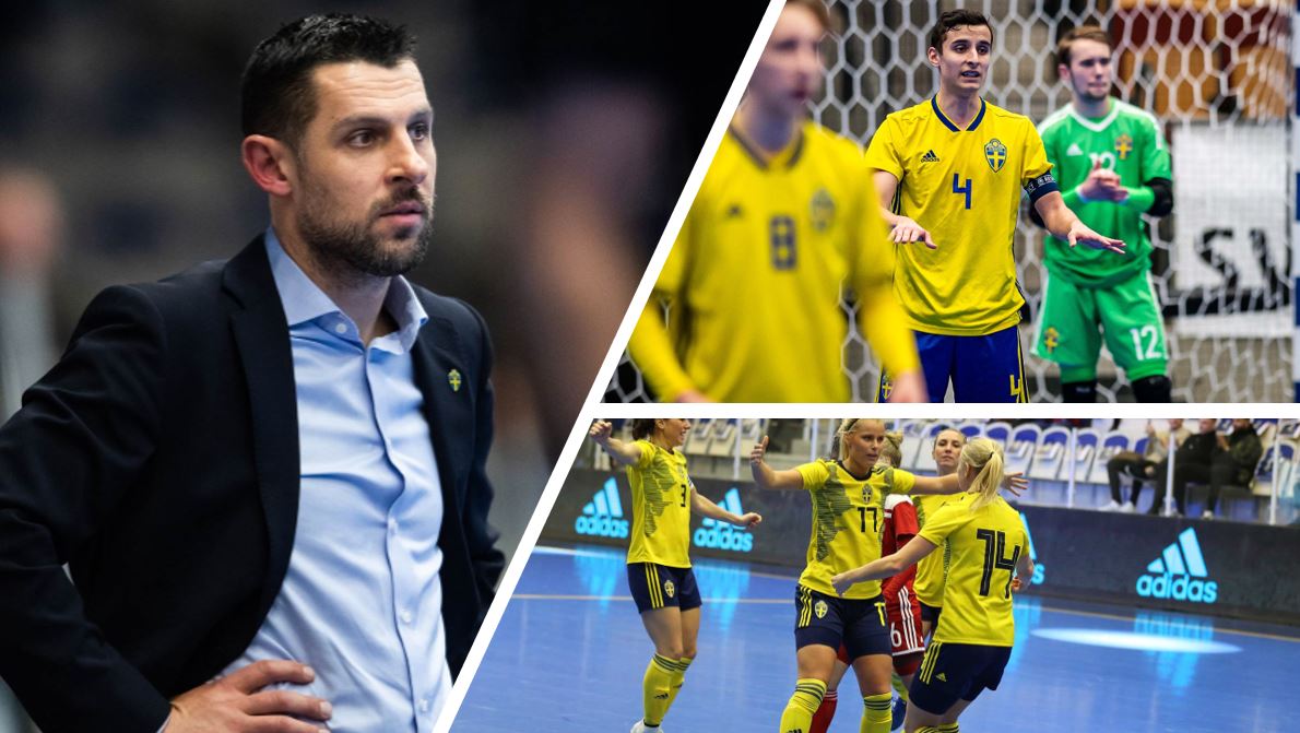 Perra Widén tweet media