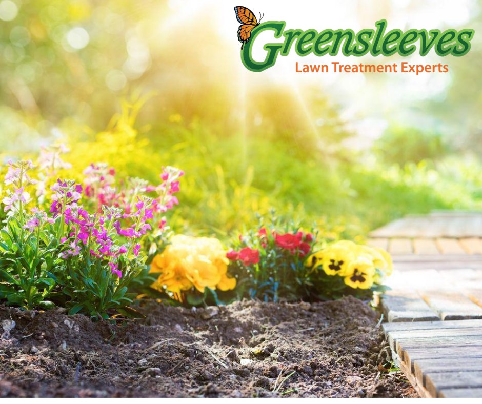 ☘️It's #Competition time!
Autumn flowers are starting to bloom so we are giving you the chance to win a £20 Amazon voucher,all you have to do is let us know your favourite Autumn flower ⤵️1 winner will be picked at random &amp; the winner will be chosen on 04/09/2020 #giveaway