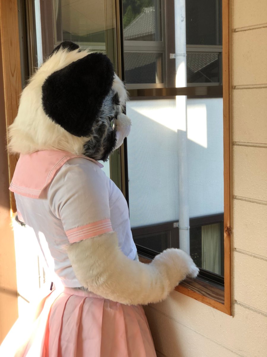 DRA_FOX's tweet photo. 渡り廊下にて #FursuitFriday #TDOS4 https://t.co/TUnyvSlDs8