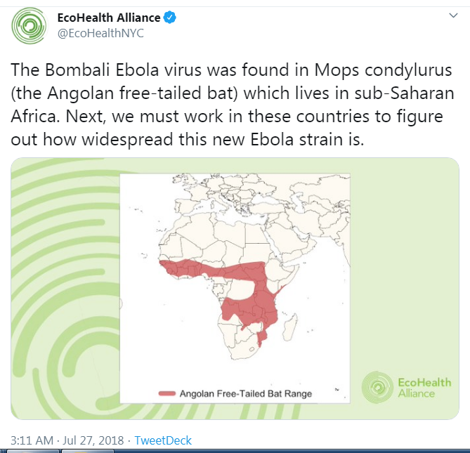 16. Bombali Ebola! Ecohealth Busted!Ecohealth working with PREEMPT, DTRA and DARPA to smuggle deadly viruses back to US Labs while posing as an NGO.