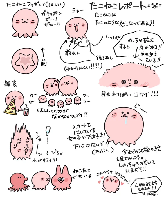 最新版たこねこレポート!これであなたもたこねこ通?? 