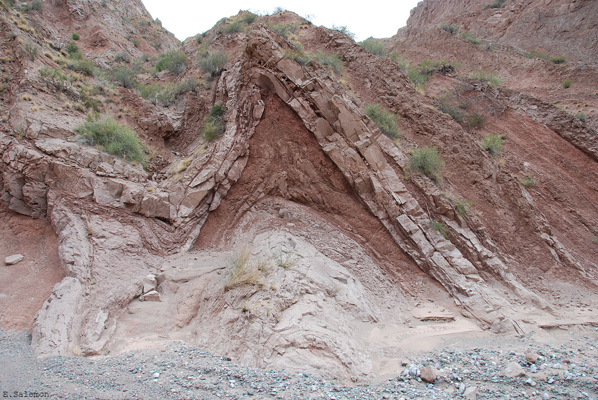 Still not really into twitter, but finding funny hashtags like #fridayfold. Here's one with a neat layer competence contrast from the Andean Precordillera near Mendoza (gravel for scale🤷‍♂️). #structuralgeology