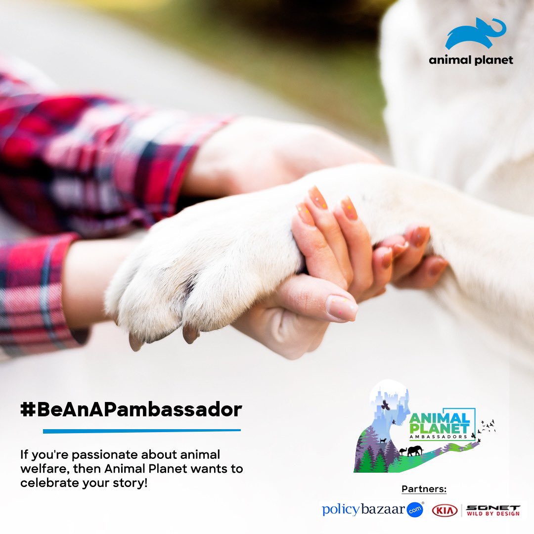 AnimalPlanetIn's tweet photo. Be an AP Ambassador by sending us your pictures with #APambassador to get featured on Animal Planet pages. Don't forget to tune into AP Ambassadors, starting 7th September.
#KiaSonet #WildByDesign #TheNextLevelofWild #SonetIsComing #SonetWorldPremiere
@KiaMotorsIN @policybazaar https://t.co/zYcCXQK3bc