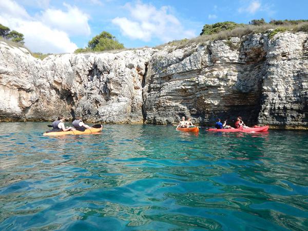 WILDSEA Europe tweet media