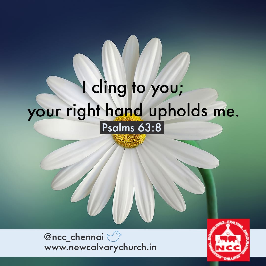 ncc_chennai's tweet photo. #newcalvarychurch #newcalvarychurchchennai #nccchennai #chennaichurch #chennai #churchesofchennai #godsword #bibleverse #psalms #protected #safe #shielded #neverfail #victoryalways https://t.co/6y7QG0Xx8U