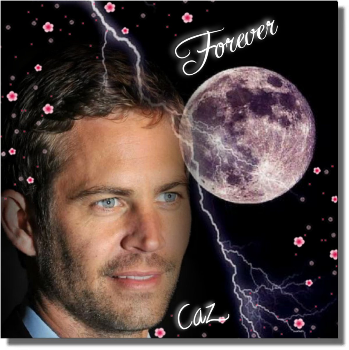 Lamboholic1's tweet image. #PWW @surfgirldeb @speedys77 @JoBella8 @Trubble19 @LisaMcH08383413 @Yoyaglosag @BarbaraKern66 @MonicaFacchin @monika_72721 @Momimom26333418 @ShoppingTrine @Elliens_1426
@Estelamessenger
@Mylove_PwCe @twinkletoe_89
@eok_lucy
@paulwalkerfdn @RealPaulWalker @teampww @galinette38