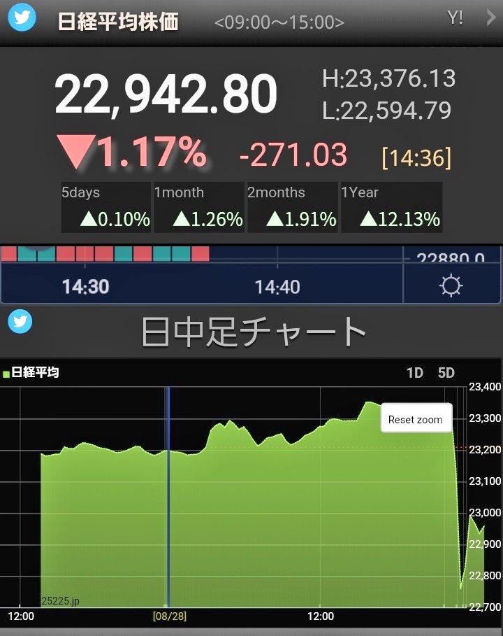 ひふみ公式 レオス キャピタルワークス On Twitter 本日の基準価額です ひふみ投信 52 826 793 1 48 ひふみプラス 43 232 655 1 49 ひふみ年金 15 921 238 1 47