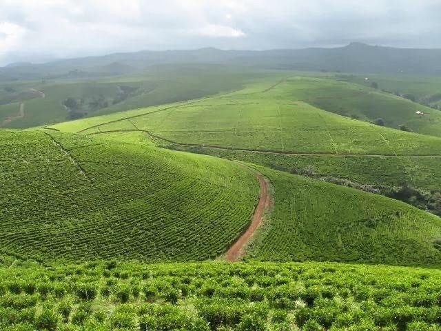 The Mambilla Plateau It's a plateau in Taraba State of Nigeria. The plateau is Nigeria's northern continuation of the Bamenda Highlands of Cameroon. The Mambilla Plateau has an average elevation of about 1,600 metres above sea level, making it the highest plateau in Nigeria