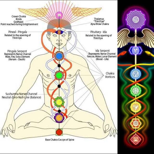 coiled serpent, which we all possess as it has to do with the spine. it has a lot to do w chakras, as the serpent coils around em. the crown chakra is often symbolized by wings or the infinity symbol. anywho, the list can go on. historically christianity has never