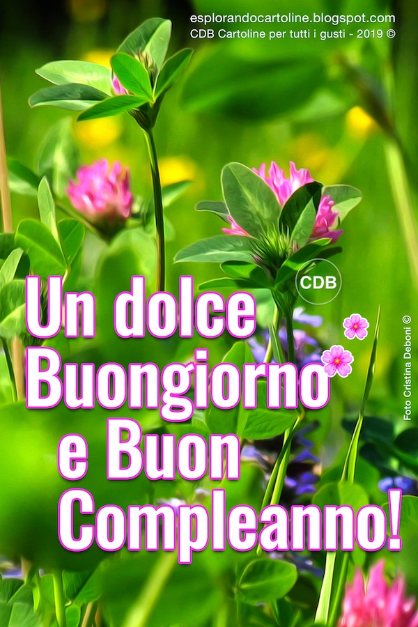 Cartoline Per Tutti I Gusti No Twitter Un Dolce Buongiorno E Buon Compleanno T Co Of95dm6zzh