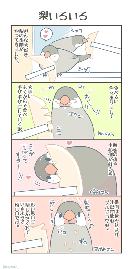 待ち望んでいた梨の季節到来です。

#Buncho #javasparrow #文鳥 