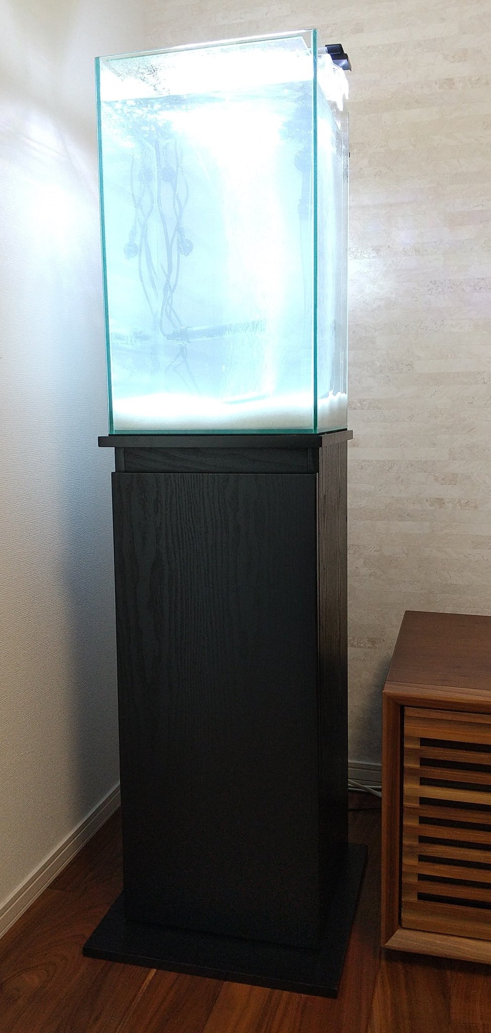Moti Aquarium 立ち上げ中 今回は コトブキ工芸で揃えてみました 水槽 レグラスフラットf3050 30 30 50cm Kotobuki 水槽台 プロスタイル 300 350sq ブラック Kotobuki コトブキ工芸 アクアリウム T Co Ea6valebkl Twitter