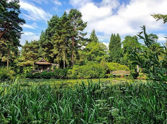 Tatton Park Garden named best in the UK

midcheshireindependent.co.uk/news-article/6…