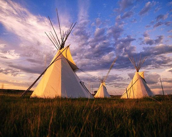 WelcomeNative's tweet photo. Teepee design of Native American.
Do you love it?<3
Let us know in the comments bellow
Don't forget to #followme #followback for the latest updates about Native Amercian.
#NativeAmerican #Native #teepee #design #tradition
#special #beautiful #LoveStory #welcomenativeculturestore https://t.co/gOlZe6lXZE