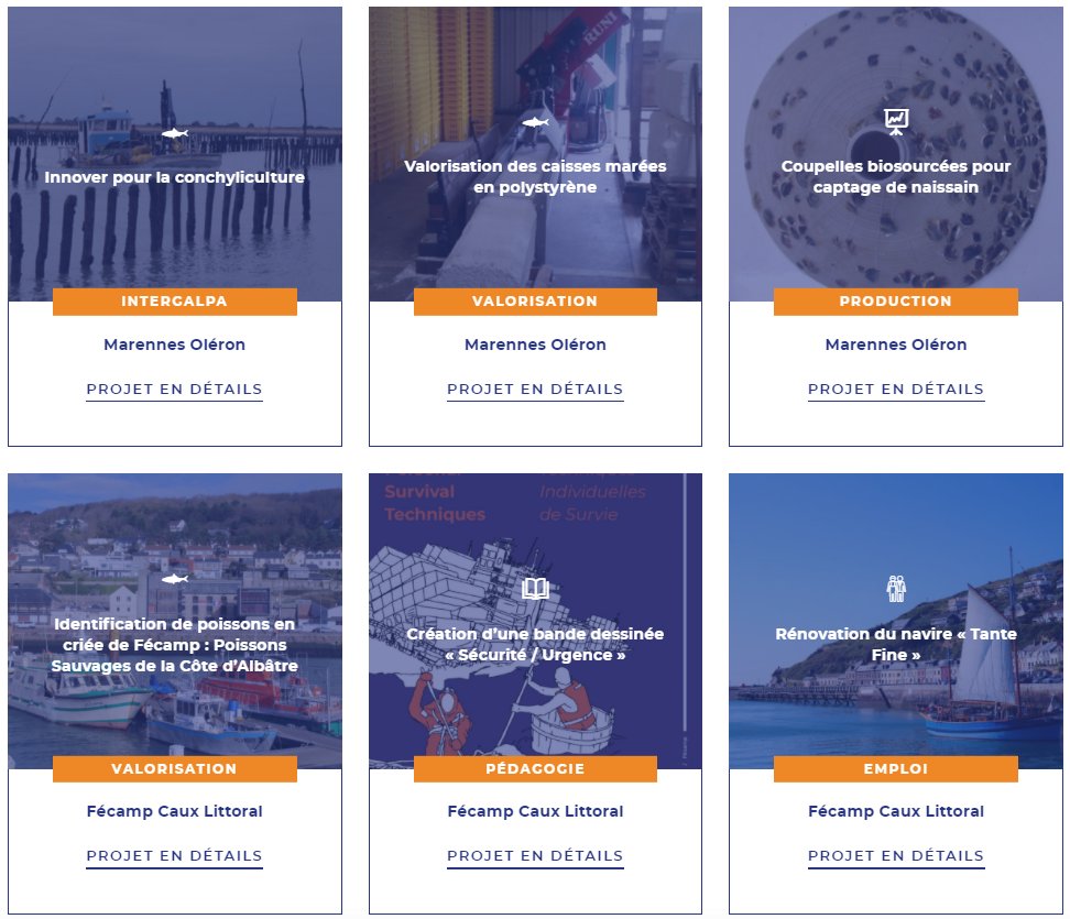 reseauGALPAs's tweet photo. La rentrée s'annonce riche pour les #GALPAs: nouveaux groupes de Travail, Webinaire, évolution du #FEAMP...et toujours des projets de territoire qui améliorent l'économie locale! Découvrez de nouvelles fiches projet sur: https://t.co/n3AaRtq3Vx #EconomieBleue #Littoral 🇪🇺🎣🦪⛵️🇫🇷 https://t.co/iNsWSNCghs