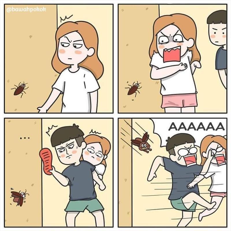 agentkillit's tweet image. Wahai isteriku, aku sanggup memberikan dunia, dan mati bersamamu, tapi kalau lipas terbang, sorry baby, kita kena lari bersama.

Siapa mcm ni? Kita geng! 😂😂