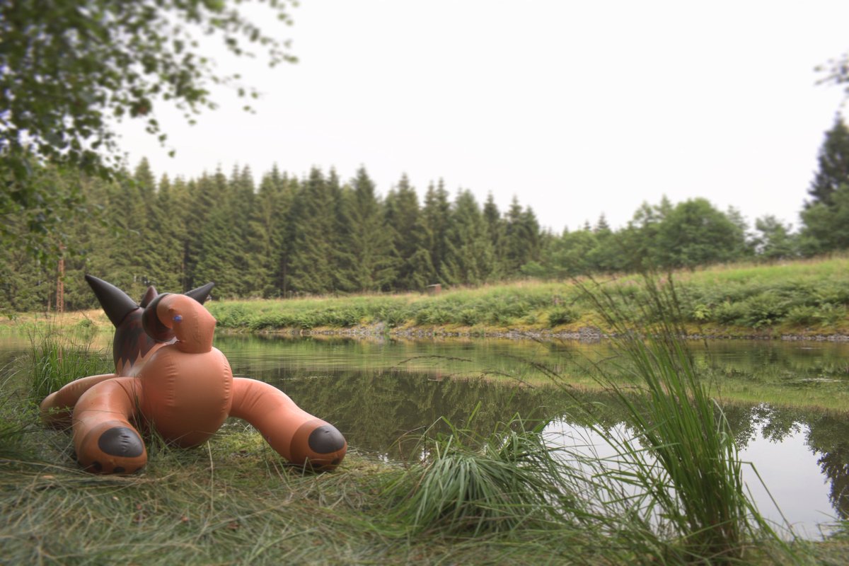 This butt :3 Just love it.❤️ #inflatable #pooltoy #aufblasbar #infla #squeaky #catlion #lake #butt