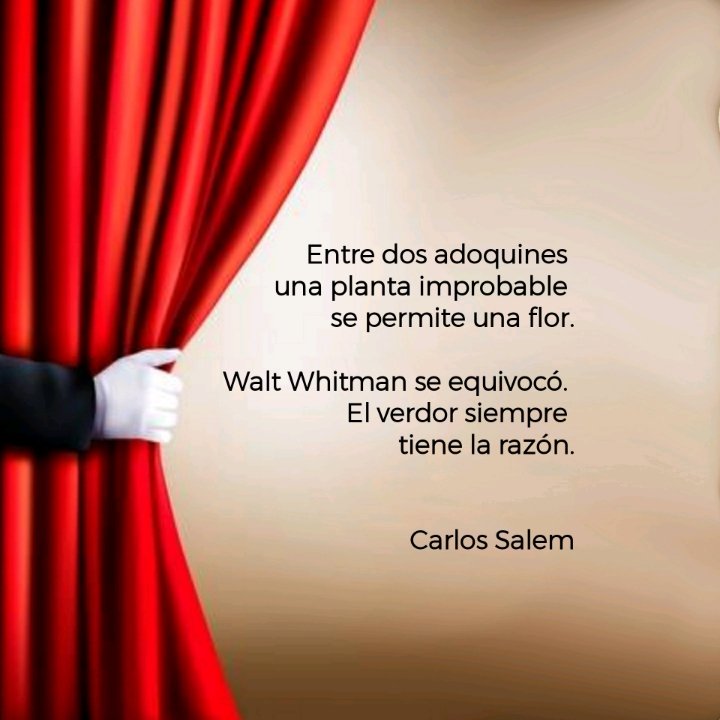 carlossalem's tweet photo. En este reino de nadie, 
plagado de hechiceros, 
expertos en pandemias
y verdades absolutas, 
me declaro ignorante 
de todo.
Incluso de la paciencia.

Y es una amenaza.
No una advertencia. https://t.co/GWspyfKZRD