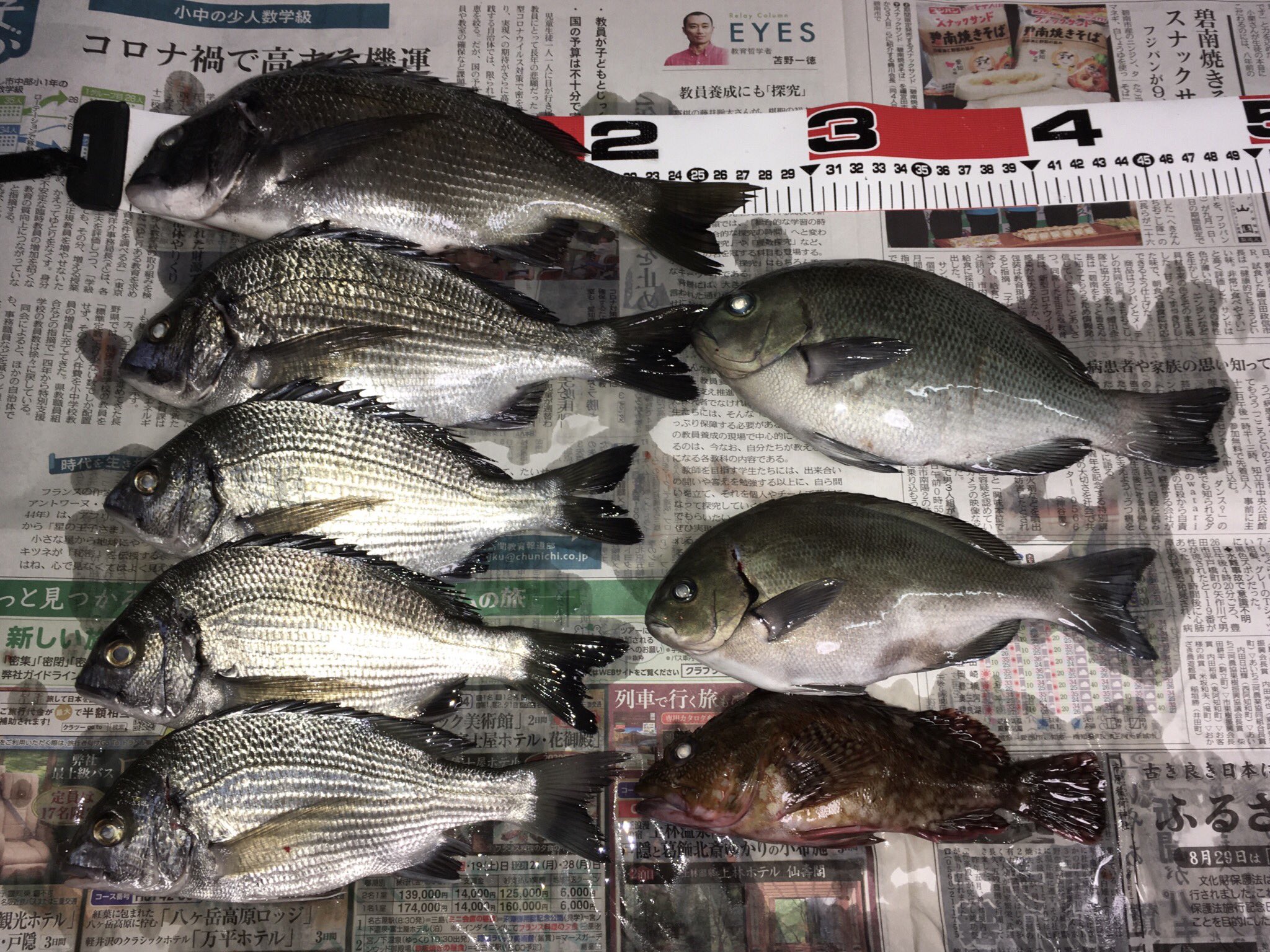 Bara 伊良湖はアジを期待したが不発 ゴンズイばかりで諦めかけていたら黒鯛が来ました 赤羽根は泥にごりの中メジナがきました 水温26度 長潮 T Co Nj2vqfkxmv Twitter