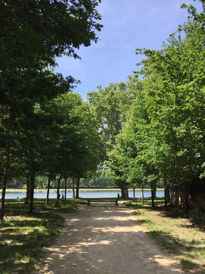 Citizenkid_'s tweet photo. Pour ce dernier week-end de #vacances, allez-vous à la #mer, à la #montagne ou à la #campagne ?
#weekend #Vacances #DernierWeekend https://t.co/KQygnjyKB6