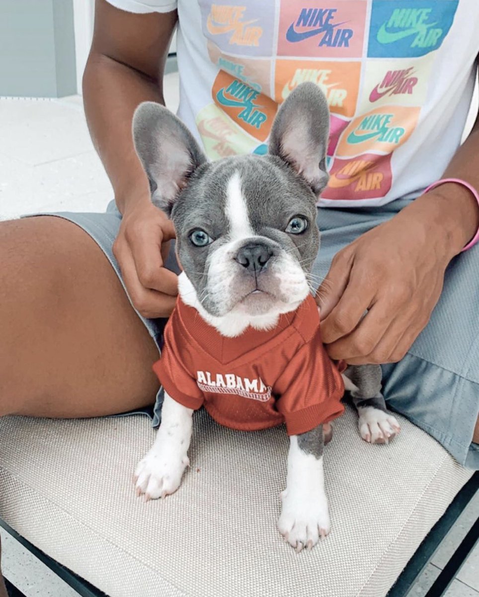 BarstoolAlabama's tweet photo. Goodboy Friday 😁 https://t.co/EG5hBpGhNf