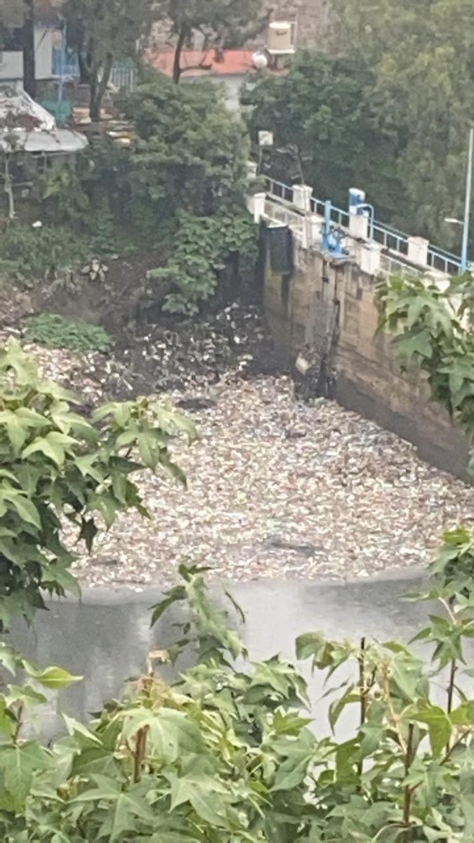 ACHEcolonos's tweet photo. Entendemos que esto es culpa de la ciudadanía sin educación que usa la calle como basurero. Sin embargo, ¿qué autoridad es responsable de limpiar esto? #PresaElCapulín .@conagua_mx .@SEMARNAT_mx .@CaemEdomex .@HuixquiGob https://t.co/RFcosy89u1