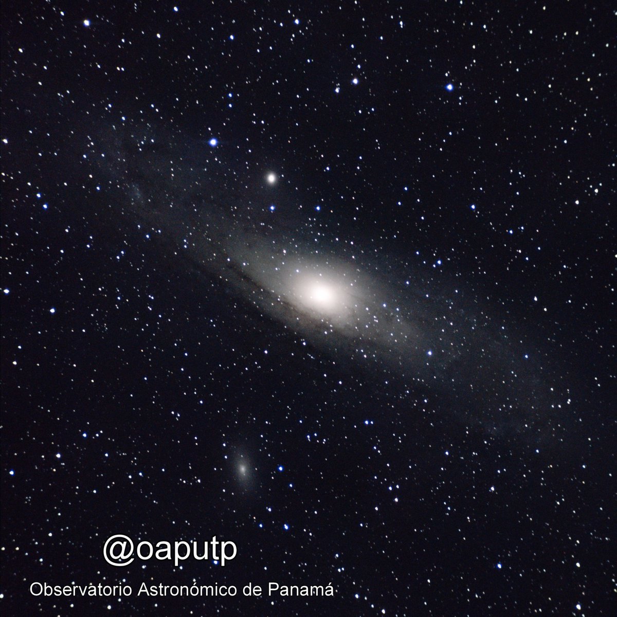 La galaxia de Andrómeda es visible a simple vista en cielos despejado y con poca contaminación lumínica, aparece como una nube difusa y tenue en la constelación de Andrómeda.
Foto captada con un pequeño telescopio de 80mm en la cual se aprecia sus galaxias espirales M32 y M110