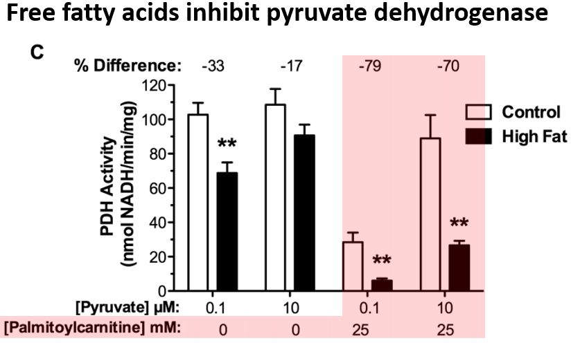 9/It turns out that pyruvate dehydrogenase is a heavily regulated enzyme, including by free fatty acids (FFA), which phosphorylate and inhibit its function.In the presence of FFA, less pyruvate gets converted to acetyl-CoA. https://pubmed.ncbi.nlm.nih.gov/24116221/ 