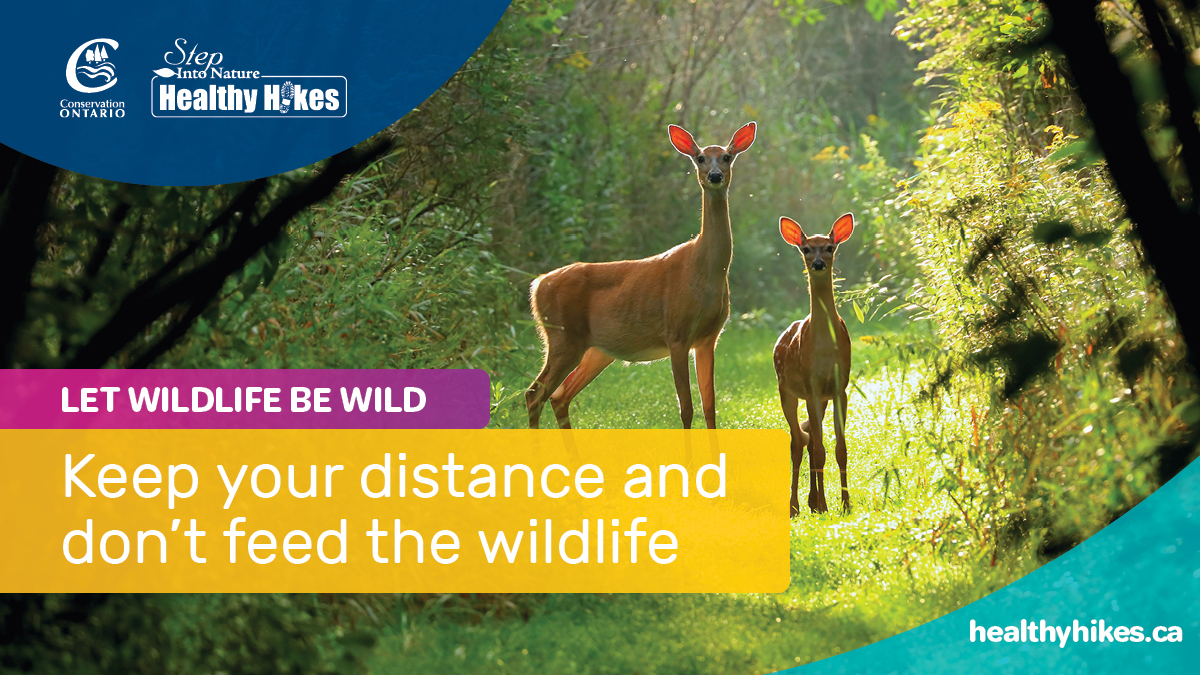 Conservation Ontario tweet media