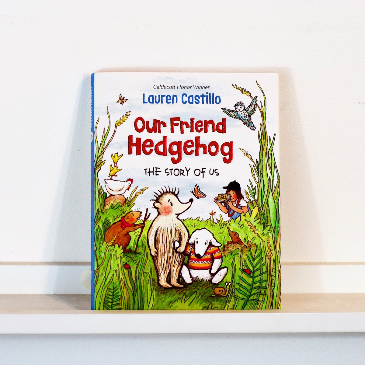 studiocastillo's tweet photo. In honor of @MrSchuReads birthday, I’m giving away a couple books! RT and wish Schu the happiest of birthdays, and I’ll select 2 names to receive a copy of #OurFriendHedgehog later tonight 🎉🦔❤️ https://t.co/LEQbUtaCw8