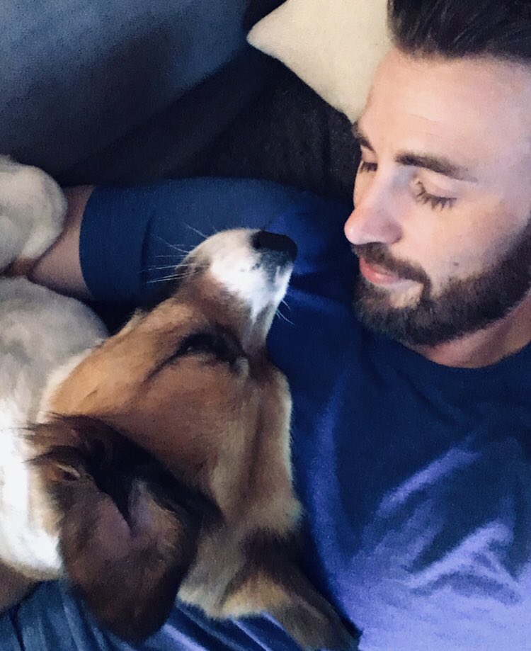 Chris Evans with the dogs; a thread