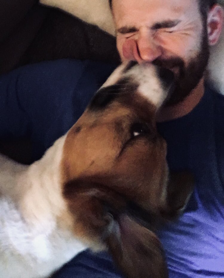 Chris Evans with the dogs; a thread