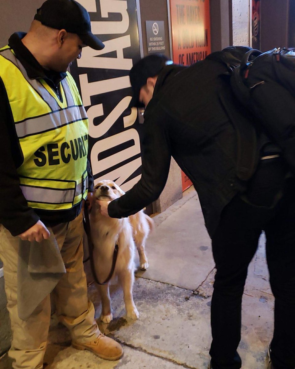 Chris Evans with the dogs; a thread