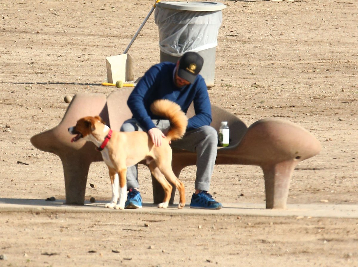 Chris Evans with the dogs; a thread