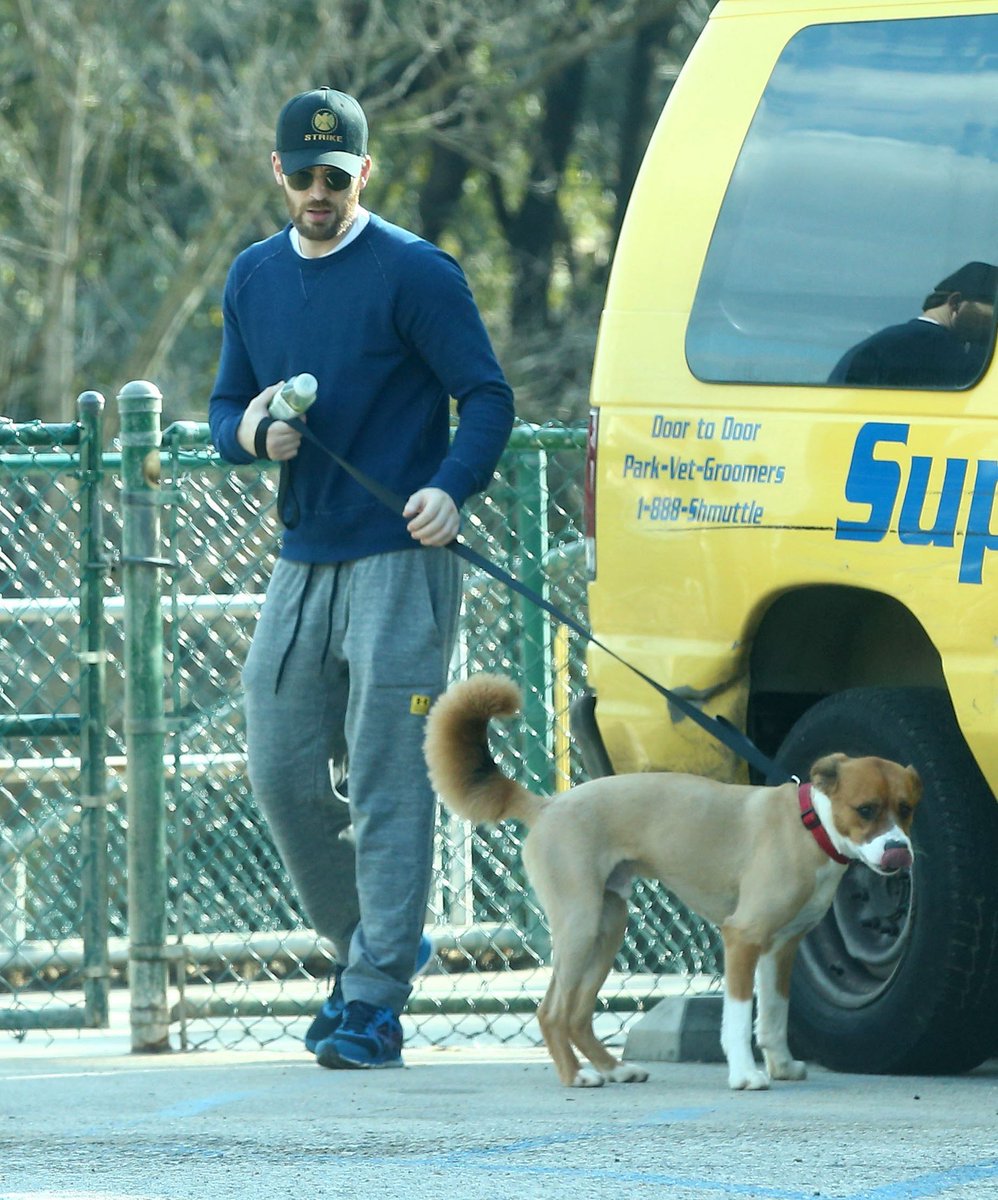 Chris Evans with the dogs; a thread