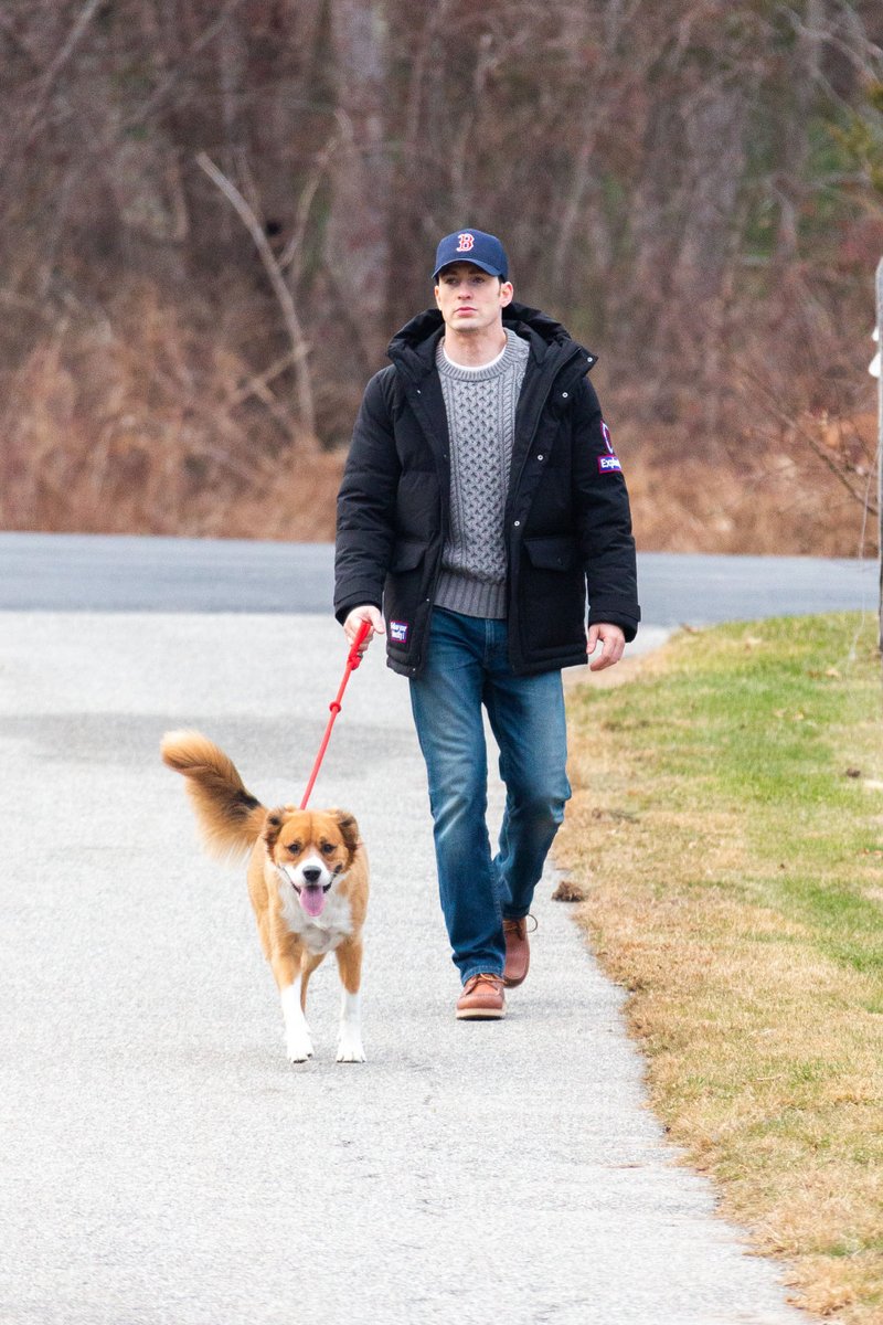 Chris Evans with the dogs; a thread