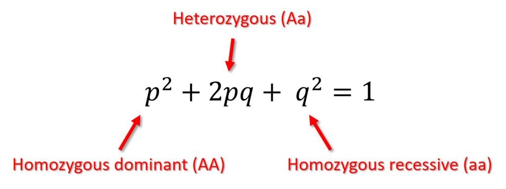 Formula ini dihasilkan oleh Godfrey Harold Hardy melalui intuisinya. Dia ahli matematik tulen. Kerja ahli matematik tulen ini biasanya buat formula tanpa melalui pemerhatian kejadian sekeliling. Tetapi melalui intuisi mereka.