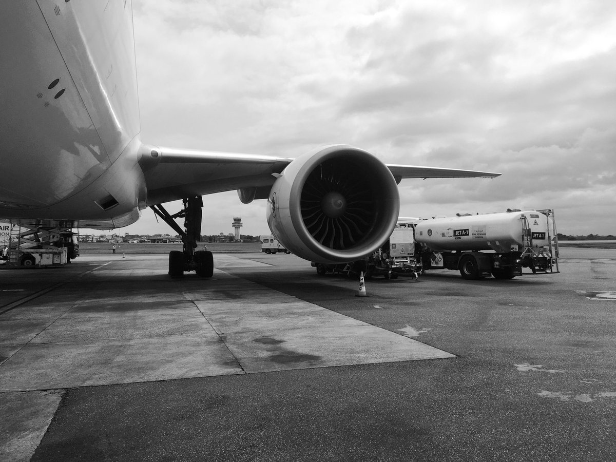 peytour13's tweet photo. African walk around 🇬🇦 #AF977 #777
She is fully ready for a safe flight to 🇫🇷
#avgeeks #pilotlife https://t.co/EIIJQzLEU8