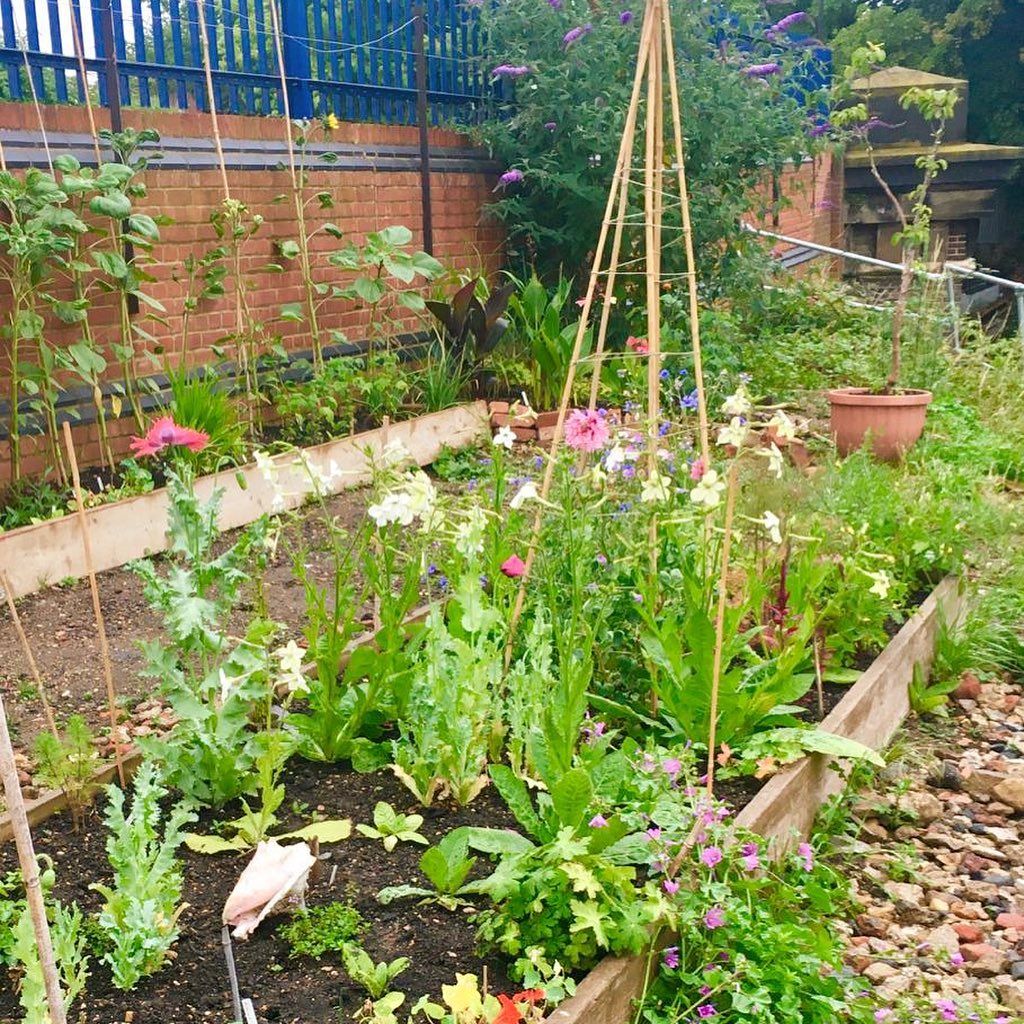 We're opening the gates: volunteers needed! Can you help us trial our new COVID-safe opening procedures this Bank Holiday weekend? Enjoy a spot of gardening AND take some produce home as a thank you! - mailchi.mp/6d017730ac93/v…