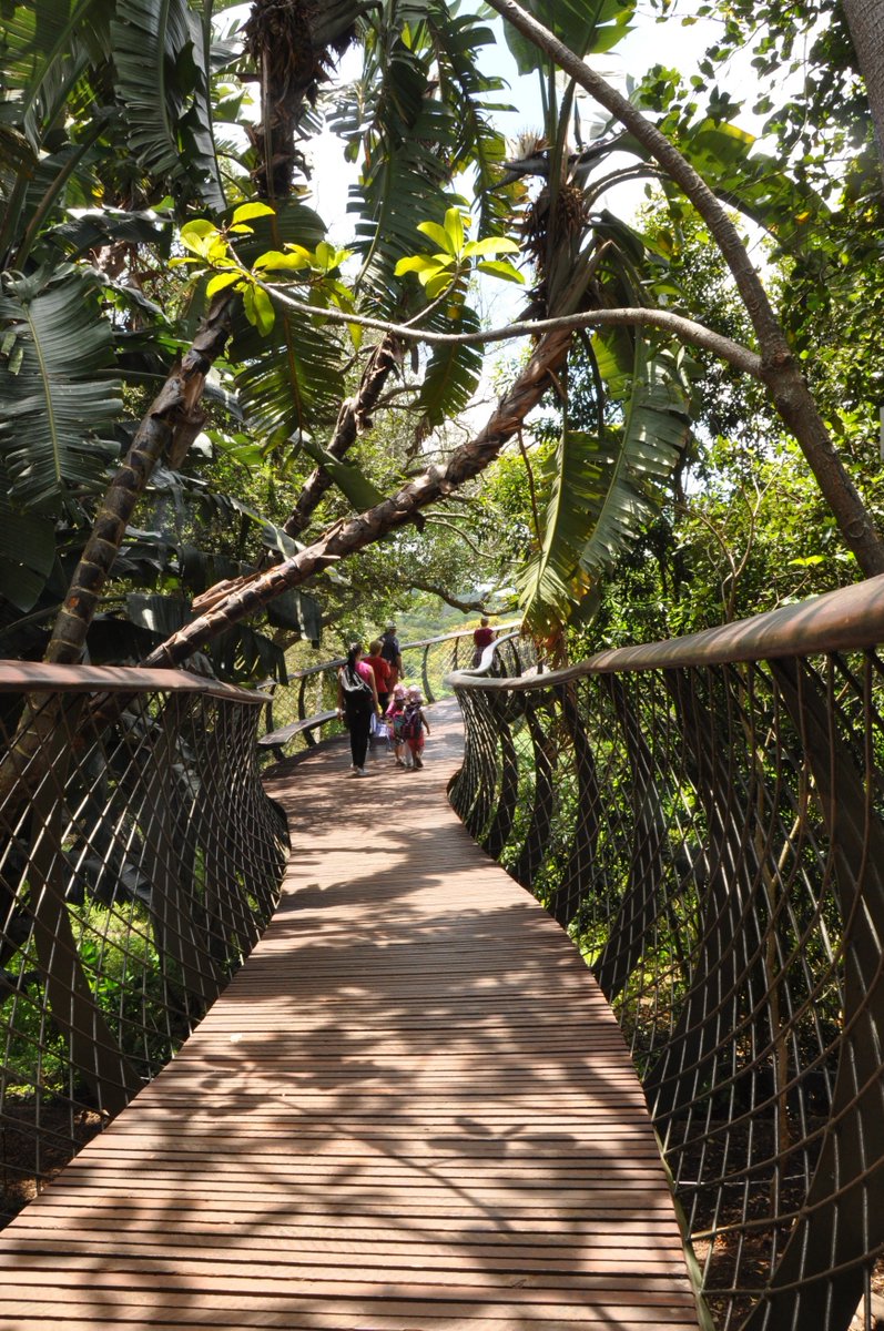 KirstenboschNBG tweet picture