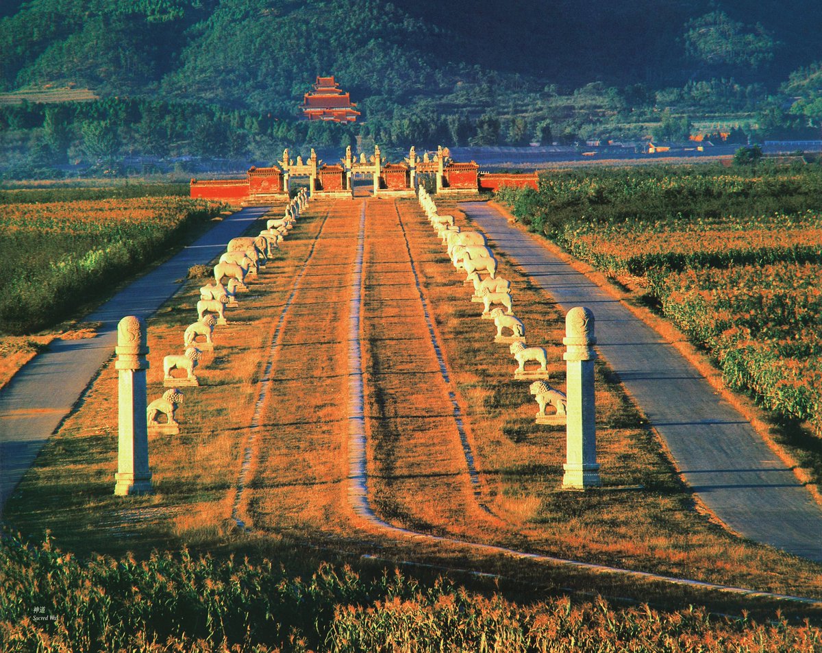TangshanChina's tweet photo. The Xiaoling Sacred Way in Eastern Royal Tombs of the Qing Dynasty is the longest one in the Qing Royal Tombs, which is about 6 kilometers long. It connects dozens of buildings in Xiaoling Tomb and forms the central axis of buildings in the mausoleum. https://t.co/giyovYma0e