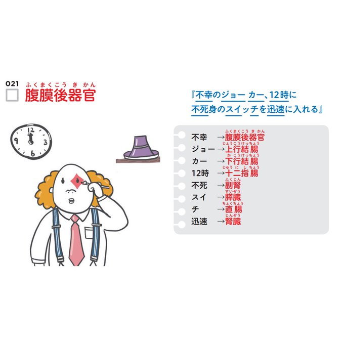 ゴロ 解剖生理イラストさん の人気ツイート 10 Whotwi グラフィカルtwitter分析