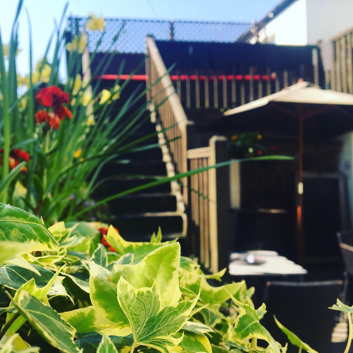 KingsArmsGham's tweet photo. The Sun has Finally Made an appearance! Let’s hope it’s here to stay.... Our Balcony is open all Bank Holiday weekend for Sunshine and Beers! No need to book for drinks ☀️ 🍺 #BankHolidayWeekend #Sunshine #KingsArmsGeorgeham #Georgeham #Croyde #Woolacombe https://t.co/NtE2zkMlLS