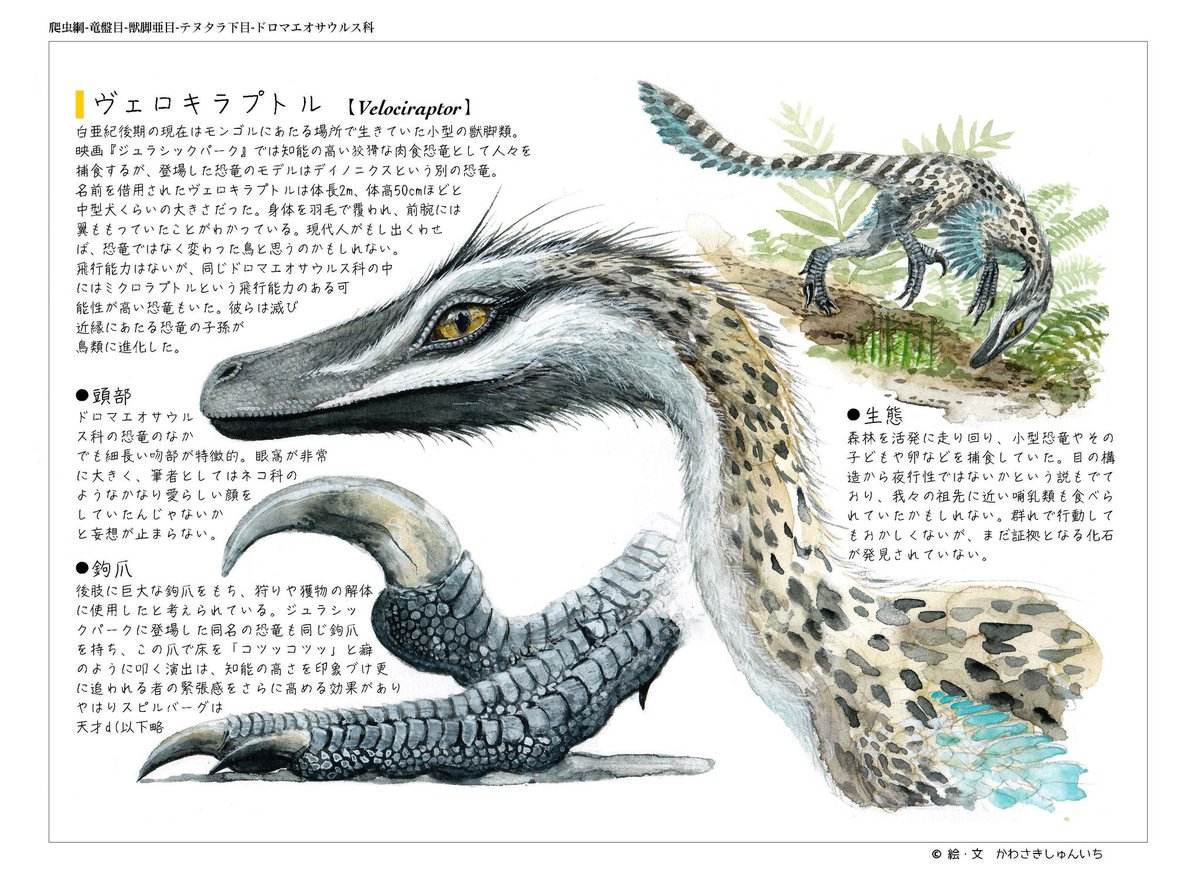 ここのところ虫の呟きばかりですが古生物書籍の挿絵やグッズ製作もやらせていただいてます。今回のメンツではダントツで古生物歴(3年)が浅々だと思うのでまぜてもらって脇汗凄まじいのですが、せっかく呼んでもらったし久々にめっちゃ話しますよォォ!!✌︎('ω'✌︎ )#古生物で食う #化石の日 