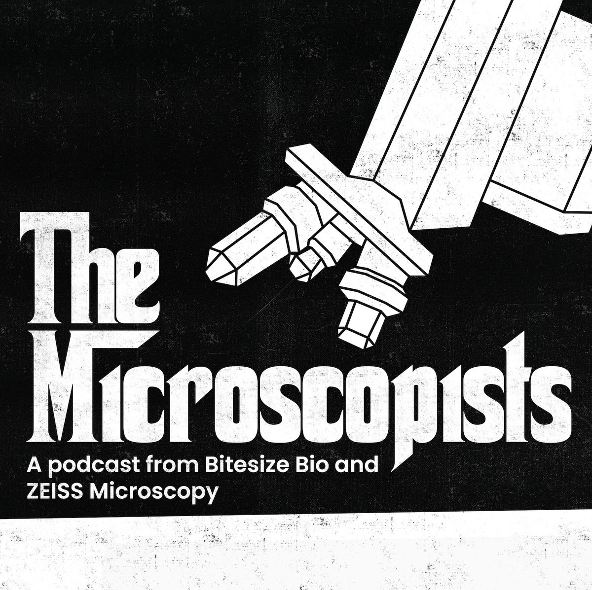 YorkBioimaging's tweet image. Very excited! 'The Microscopists' series has launched today bit.ly/the-microscopi… Hear/See personal, revealing chats with Jennifer Lippincott-Schwartz, Jason Swedlow, Tony Wilson,+ many more soon.