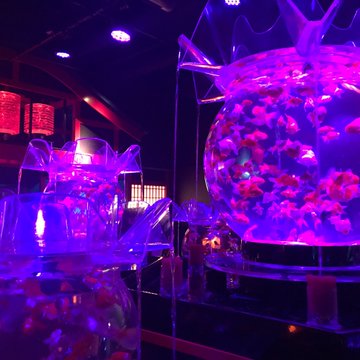 アートアクアリウム日本橋混雑と所要時間 平日は ちょっとした豆知識をお届け