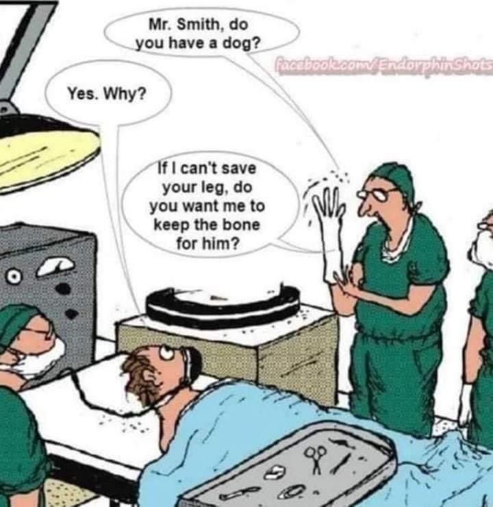 Hany Ragy On Twitter Drmarthagulati Anastasiasmihai A Bit Of Dark Medical Humor For Dog Lovers